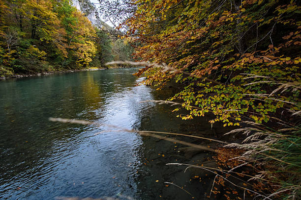 istock Autumn Tara river canyon in Montenegro 625451704