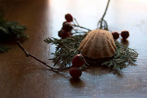 Gingerbread with red berries and fir-branches.