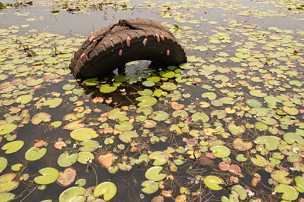 istock Human effects on natural habitat Asia. 625455562