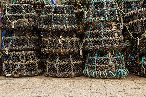 istock lobster fishing nets 625459960