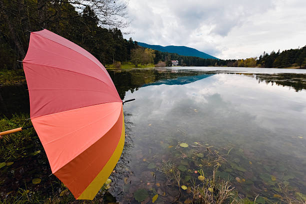 istock Girl Behind Umbrella 625460552