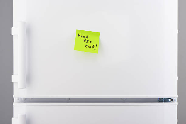 istock Feed the cat note on green sticky paper on refrigerator 625467168