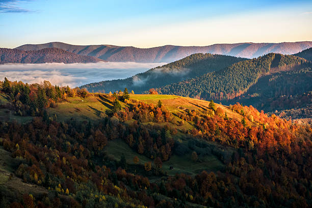 istock foggy and hot sunrise in Carpathian mountains 625472320
