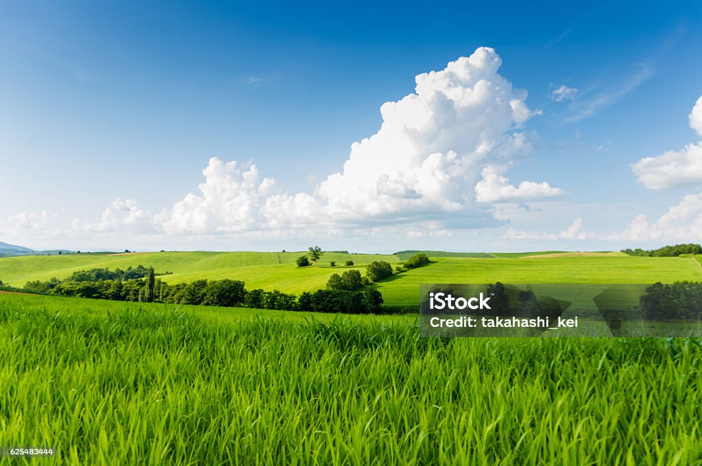 Green hill  - Lizenzfrei Umweltschutz Stock-Foto