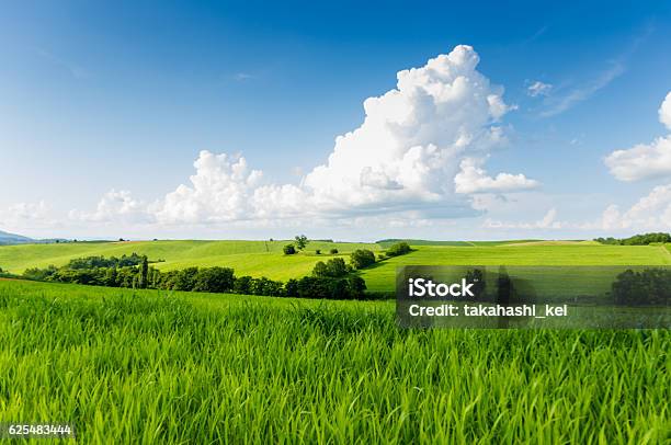 Green Hill Stockfoto und mehr Bilder von Umweltschutz - Umweltschutz, Ebene, Grün