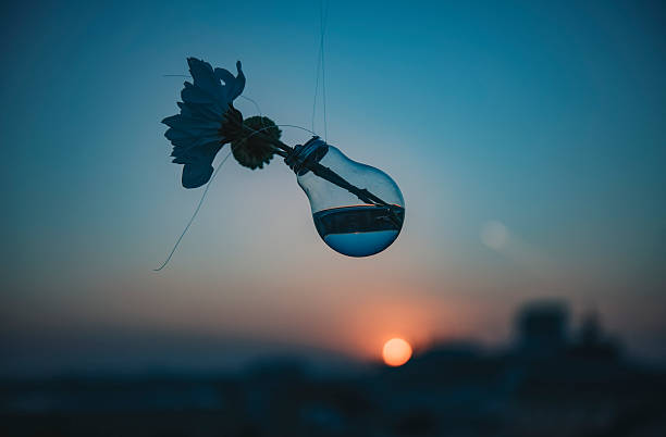 Light bulb filled with water at sunset - warm tones