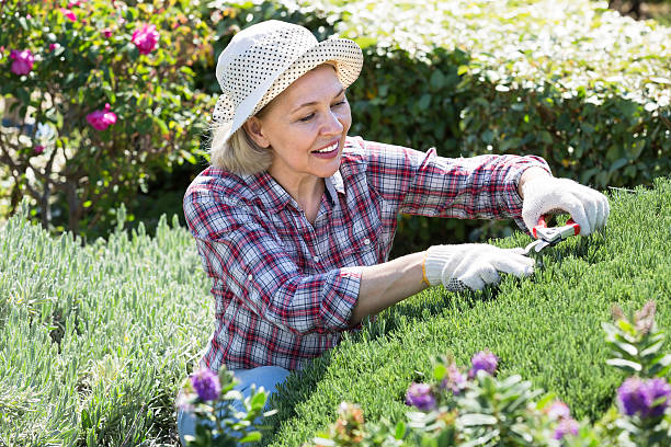 istock Senior woman working in the garden 625489312