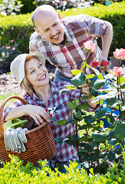 高齢者のカップル後に花庭の - senior adult couple care spring ストックフォトと画像