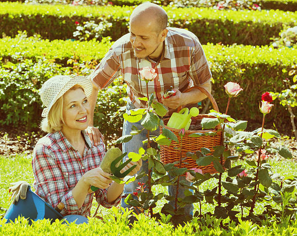 高齢者のカップル後に花庭の - senior adult couple care spring ストックフォトと画像