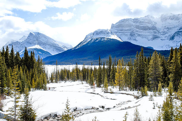 istock Stream Covered With Snow in Winter, Canadian Rockies, Alberta, Canada 625491542