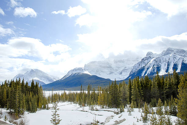 istock Stream Covered With Snow in Winter, Canadian Rockies, Alberta, Canada 625491808