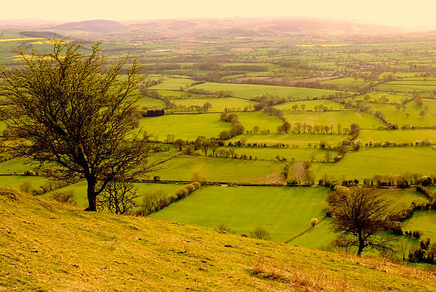 istock long mynd hills shropshire england uk 625494020