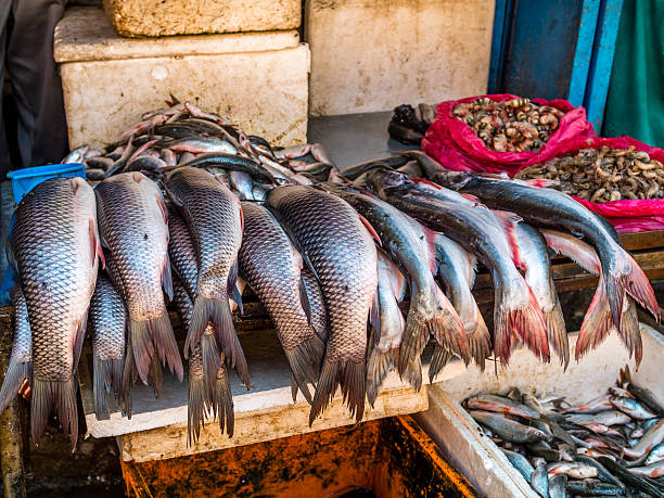 istock Fish Vendor on the Street in Nepal 625499138