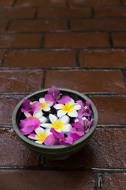 istock Ceramic bowl full with water and exotic flowers -stock image 625524526
