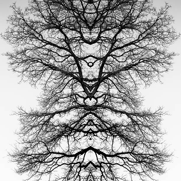 istock Totem of Nature 625529296