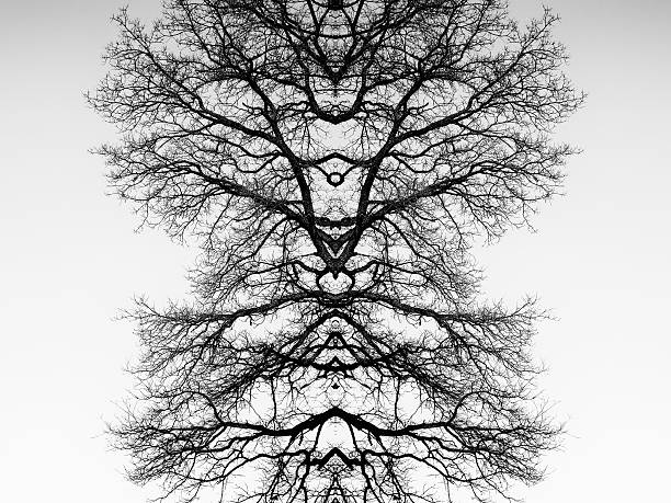istock Totem of Nature 625547184