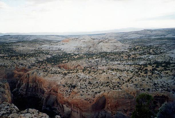 istock High country, Dixie National Forest, scenic byway 12, Utah 625582850