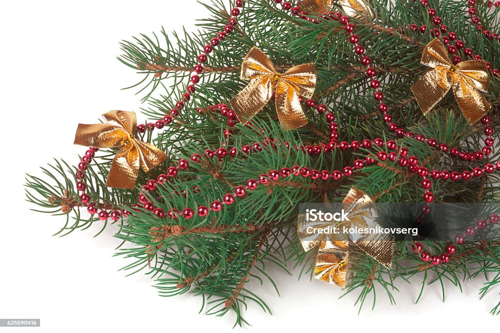 Branch Of Christmas Tree With Short Needles Decorated Red Beads