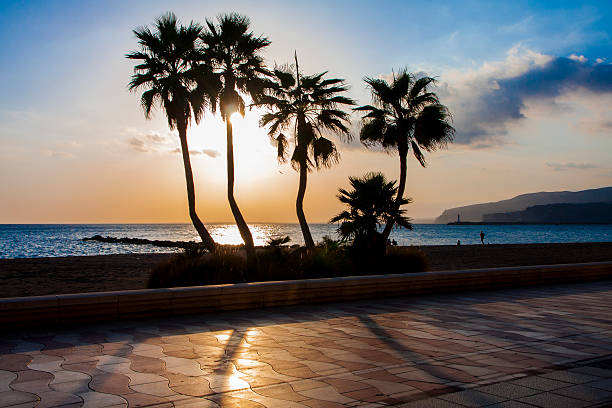 istock sunset palm beach promenade 625597904