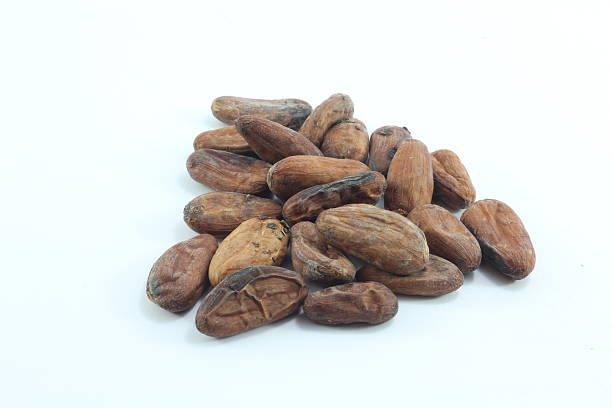 istock Cacao - Super Food 625600812