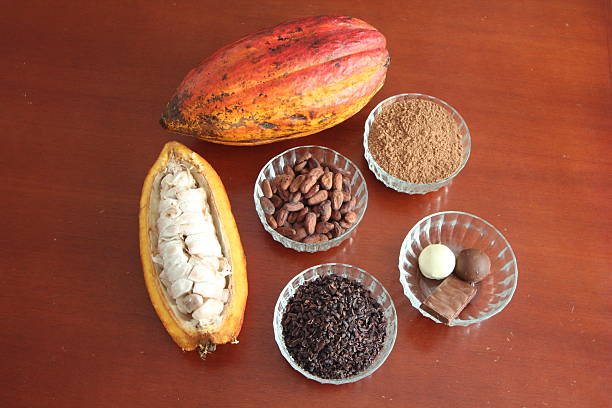 istock Cacao - Super Food 625601458