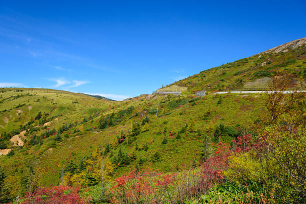 istock Shibu pass in autumn in Japan 625604432