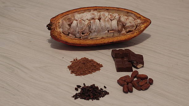 istock Cacao - Super Food 625606952
