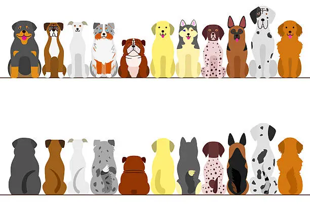 Vector illustration of large dogs border set, front view and back view
