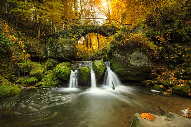 istock romantic waterfall in Luxemburg 625622102