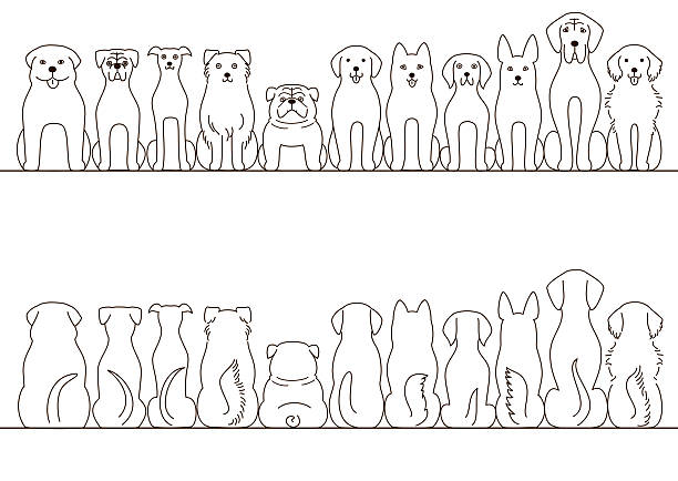 большие собаки границы набор, вид спереди и сзади, линия искусства - dog group of animals variation in a row stock illustrations