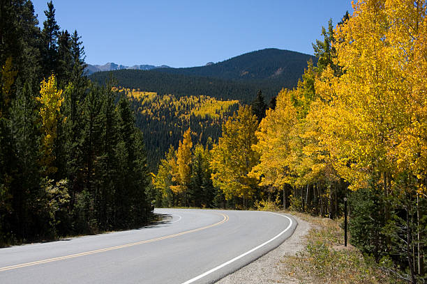 istock Yellow Aspen trees on winding road 625622638