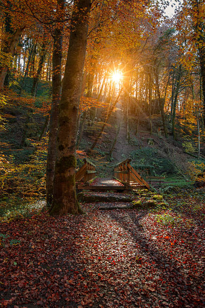 istock hiking in Luxemburg during autumn 625623240