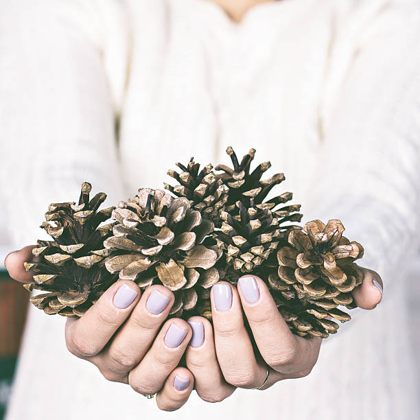 istock Cones in the hands of women. 625624686