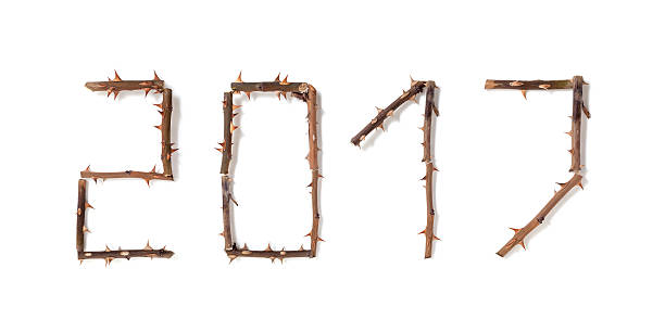 istock 2017. number composed of thorny rose stems 625624802