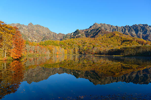 istock Pond in Togakushi in autumn 625626134