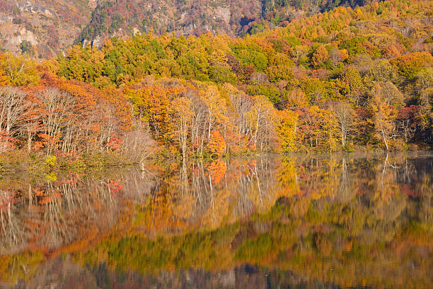 istock Pond in Togakushi in autumn 625626380