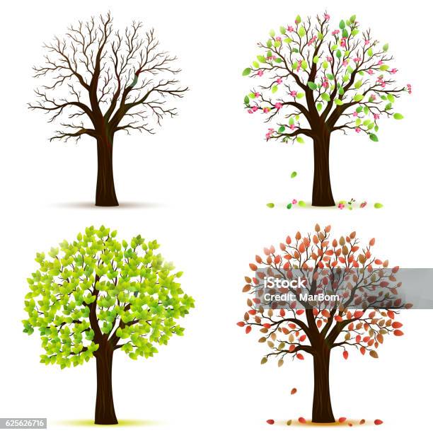 Vier Jahreszeiten Bäume Vektor Stock Vektor Art und mehr Bilder von Baum - Baum, Vier Jahreszeiten, Jahreszeit