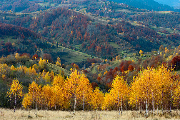 istock Autumn in the Carpathian mountains 625627262