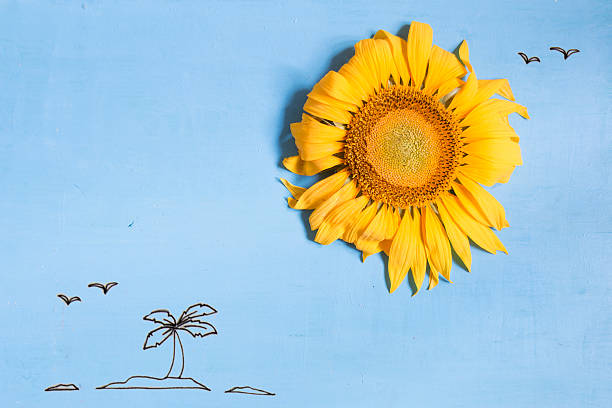 summer or beach idea, a sun - sunflower and island with palm tree in the ocean