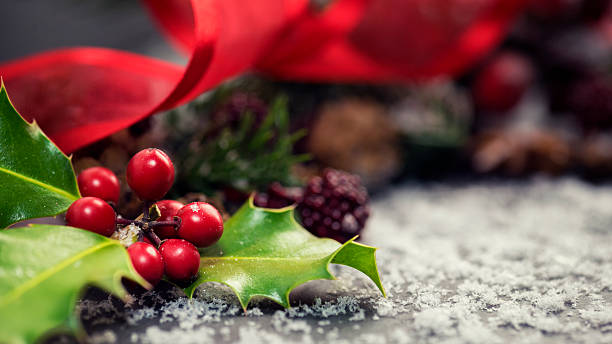 weihnachten hintergrund  - mulberry bush stock-fotos und bilder