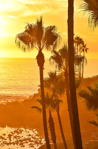 istock Heisler Park Laguna Beach 625642702