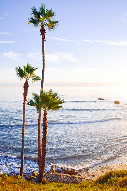 istock Heisler Park Laguna Beach 625643382