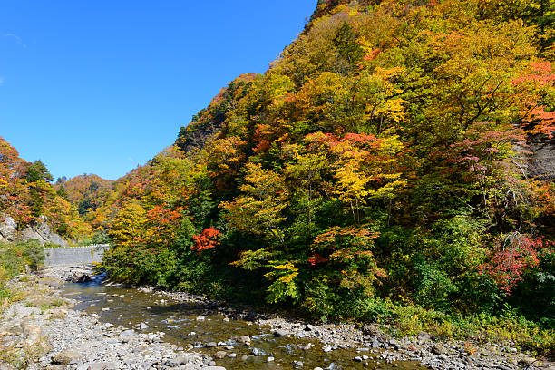 istock Okususobana canyon in Nagano 625648254