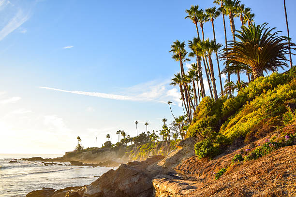 istock Heisler Park Laguna Beach 625649152