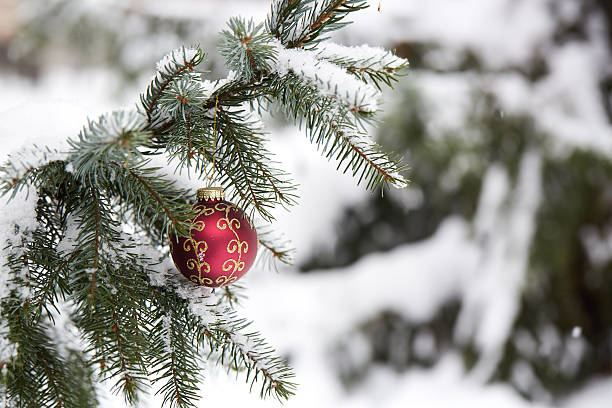 istock Fir branch with christmas toys. 625653596