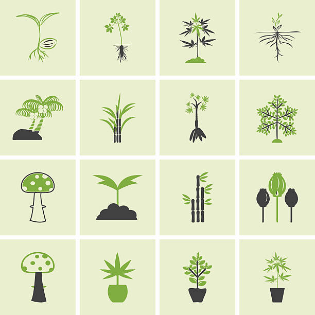 ilustrații de stoc cu arborele pictograme vector set. - deseuri vegetale crengi
