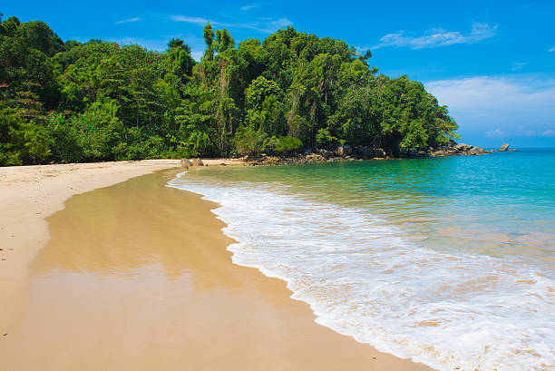 istock beautiful beach and tropical sea 625671188