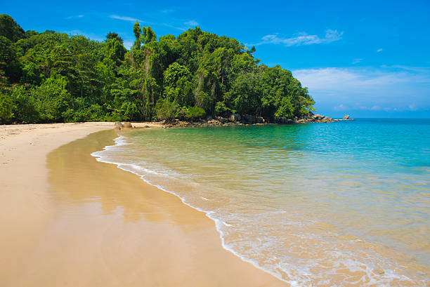 istock beautiful beach and tropical sea 625671218