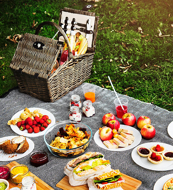 Picnic Lunch Meal Outdoors Park Food Concept