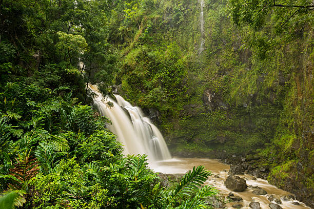 istock Waterfall on the raod to Hana, Maui 625676218